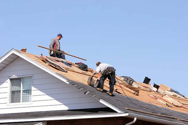 Best Roof Maintenance and Cleaning  in USA